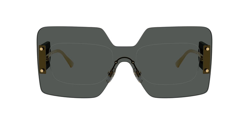 VE2277 100287 dark grey /dark grey lens
