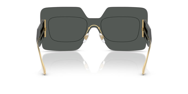 VE2277 100287 dark grey /dark grey lens