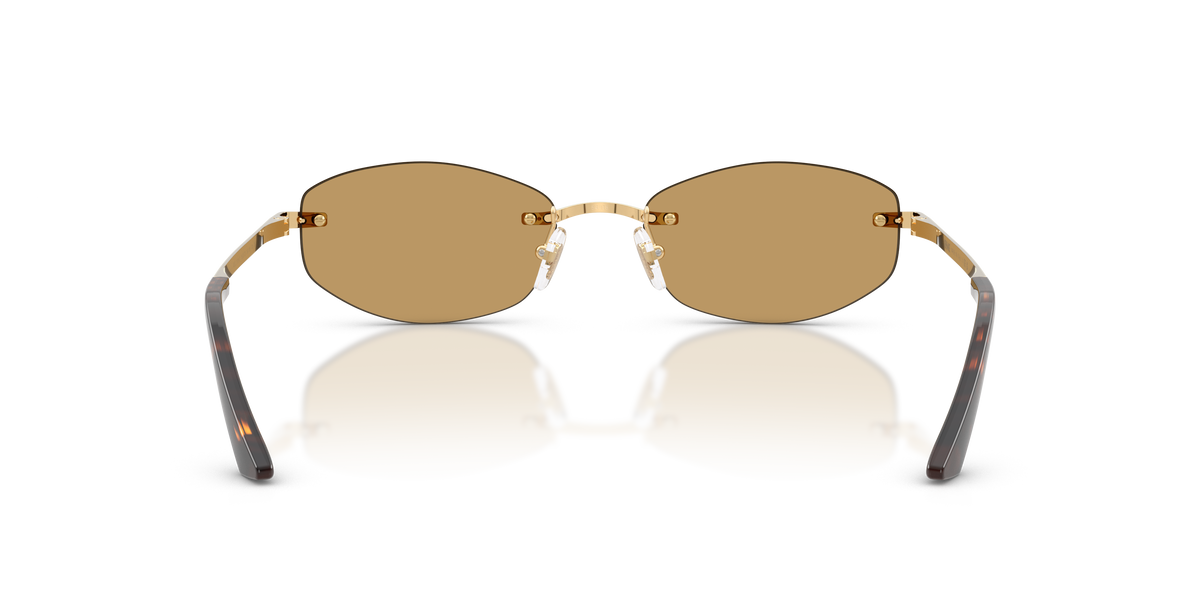 VE2308D 152373 gold/brown lens