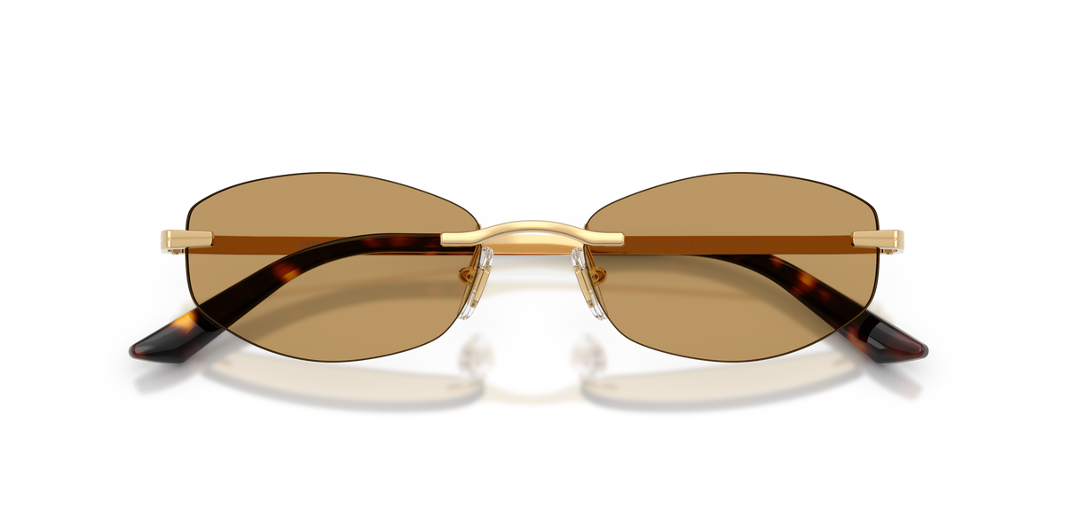 VE2308D 152373 gold/brown lens