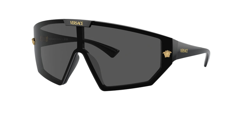 VE4461 GB1/87 BLACK/GREY  GOLD LENS