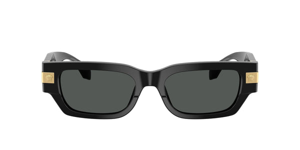 VE4465 GB1/87 black/grey lens