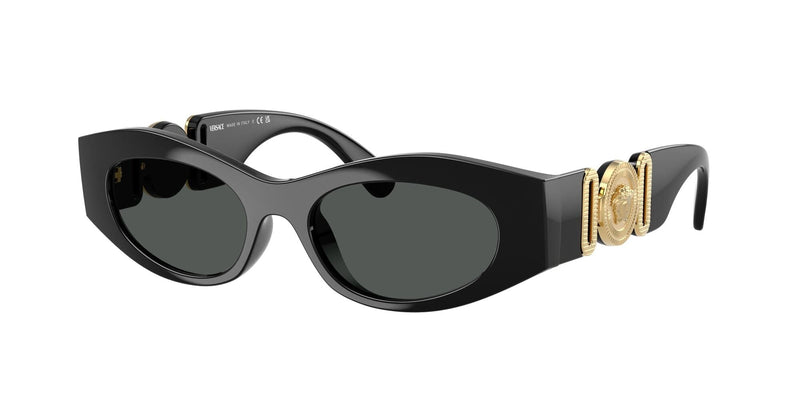 VE4480U GB1/87  black/dark grey lens