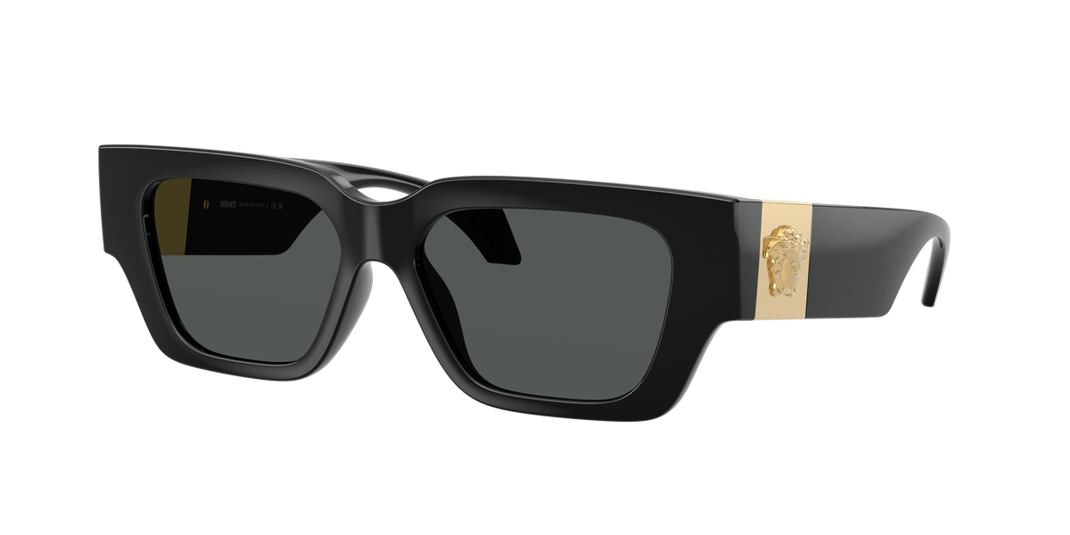 VE4497U GB1/87 black/dark grey lens