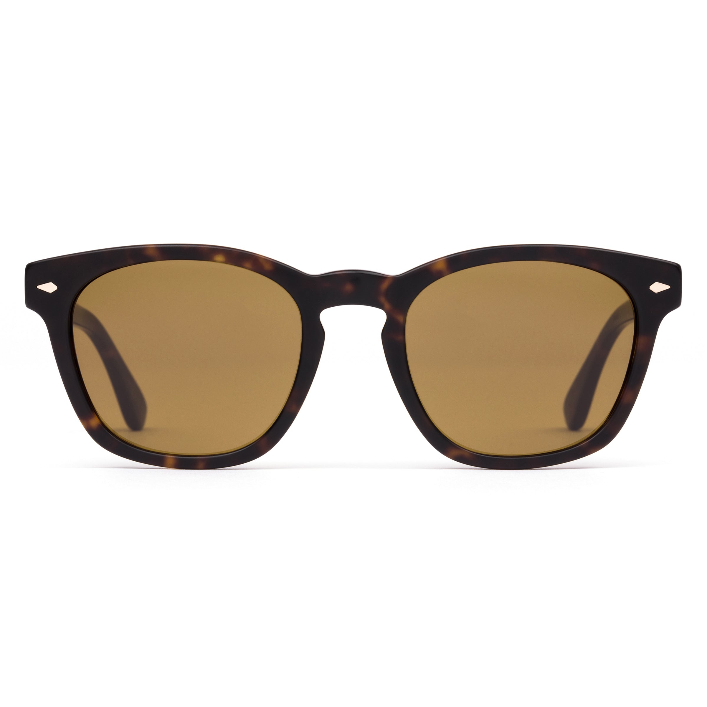 Summer of 67 X 163-2307 eco matte dark tortoise/brown lens  lens
