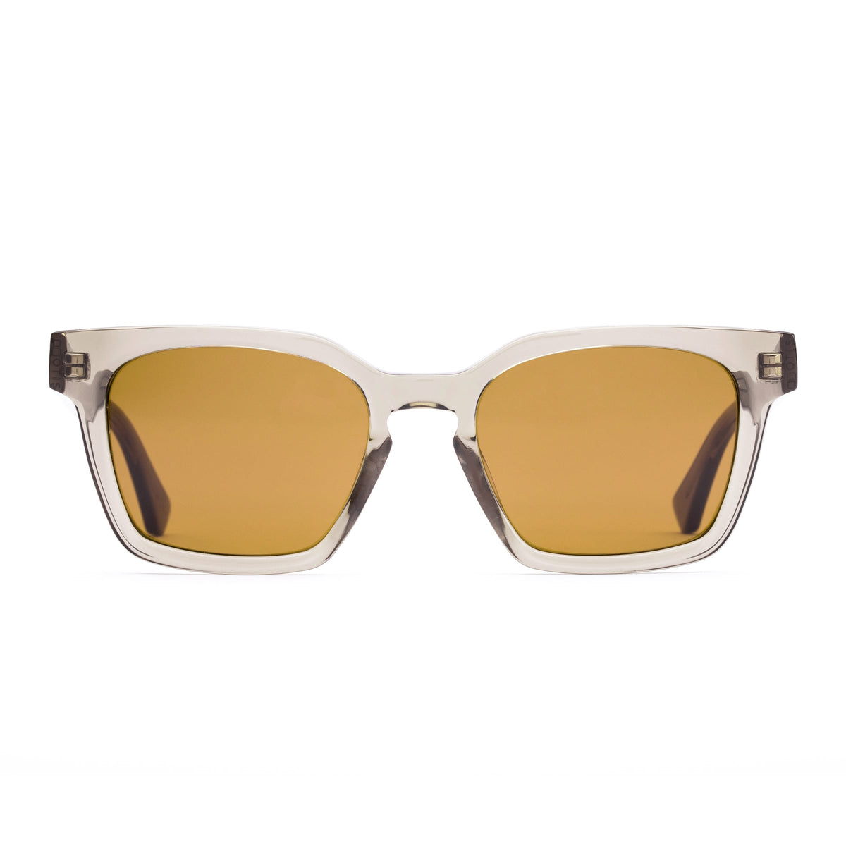 Interlude 203-2410LL eco crystal fern/L.I.T polarised brown lens