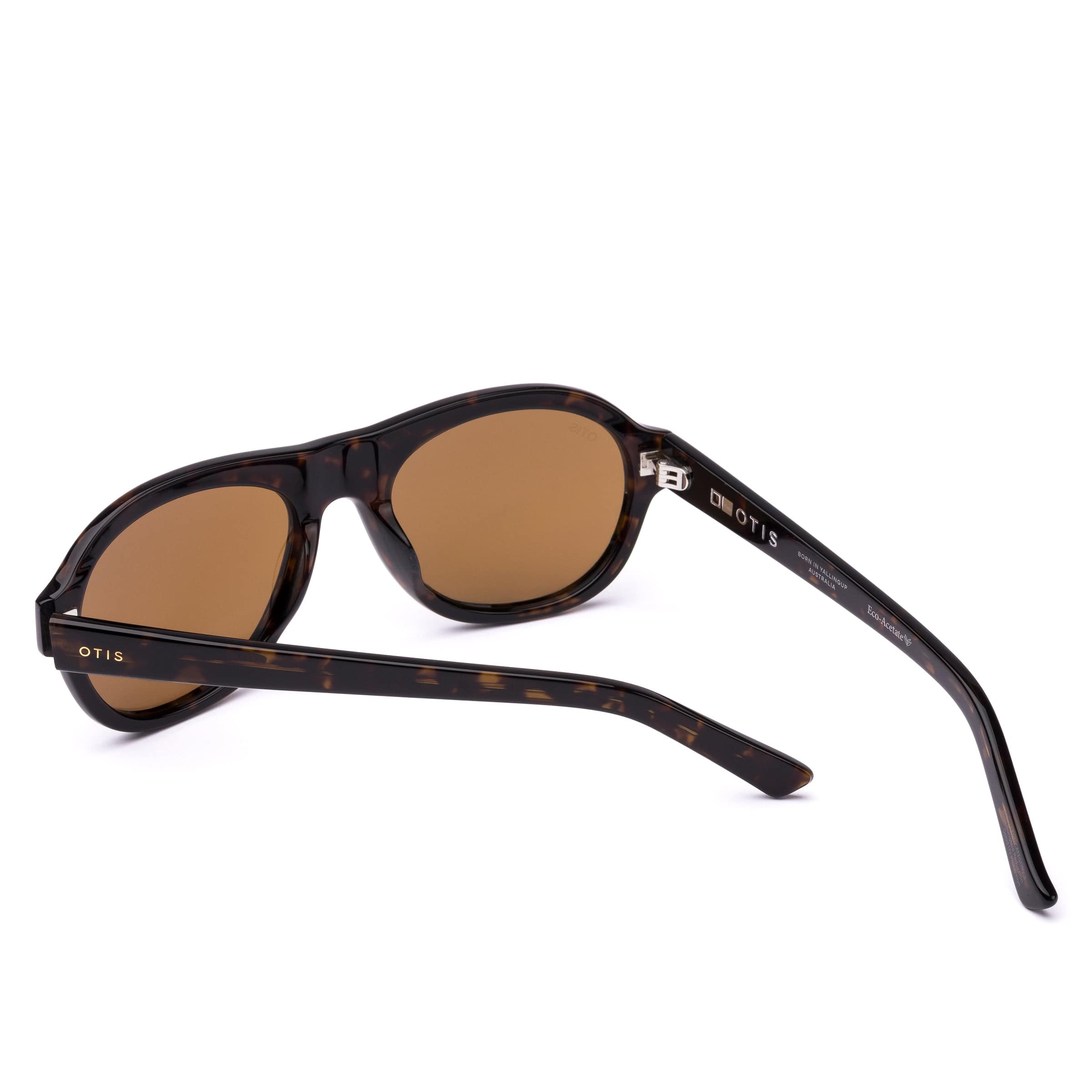 Kingswood 207-2503 eco umber tortoise/brown lens