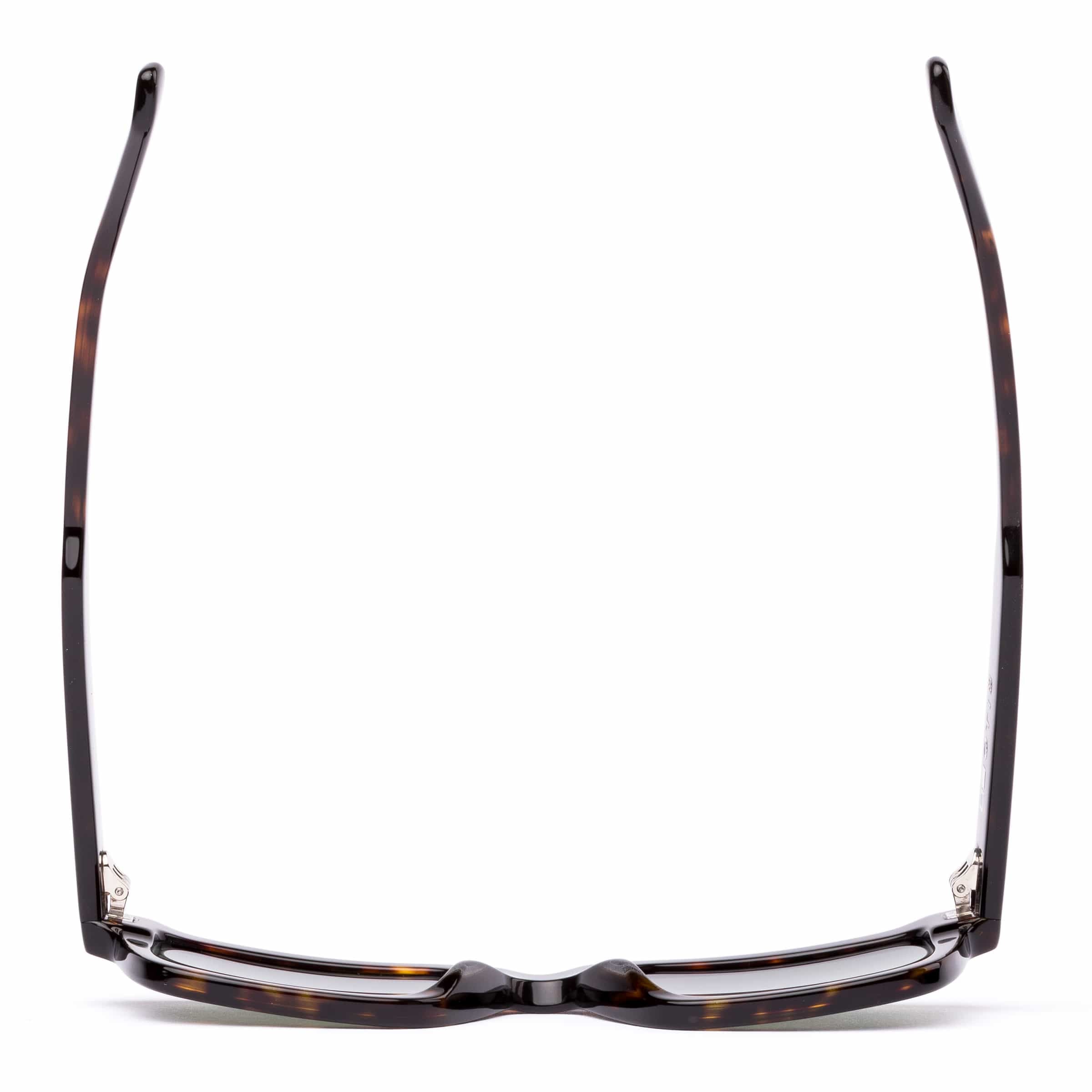 Outbound 216-2602 eco havana/grey lens