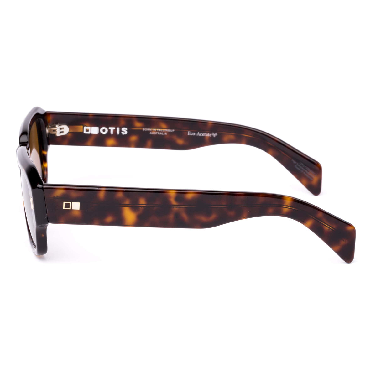 Jam 217-2602 eco havana/brown lens