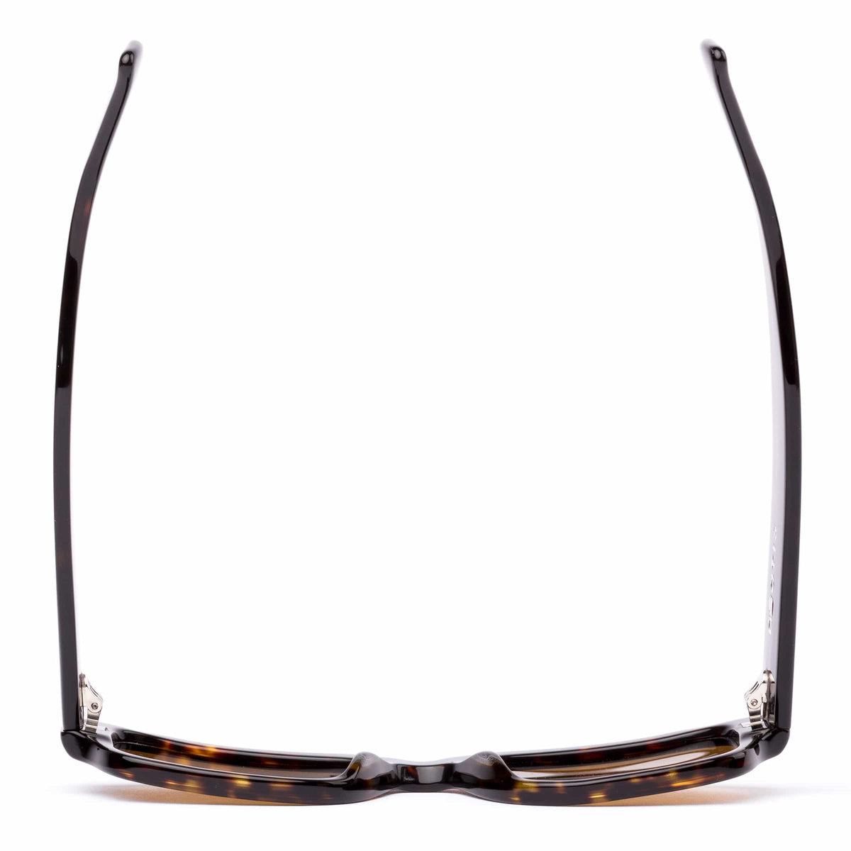 Jam 217-2602 eco havana/brown lens