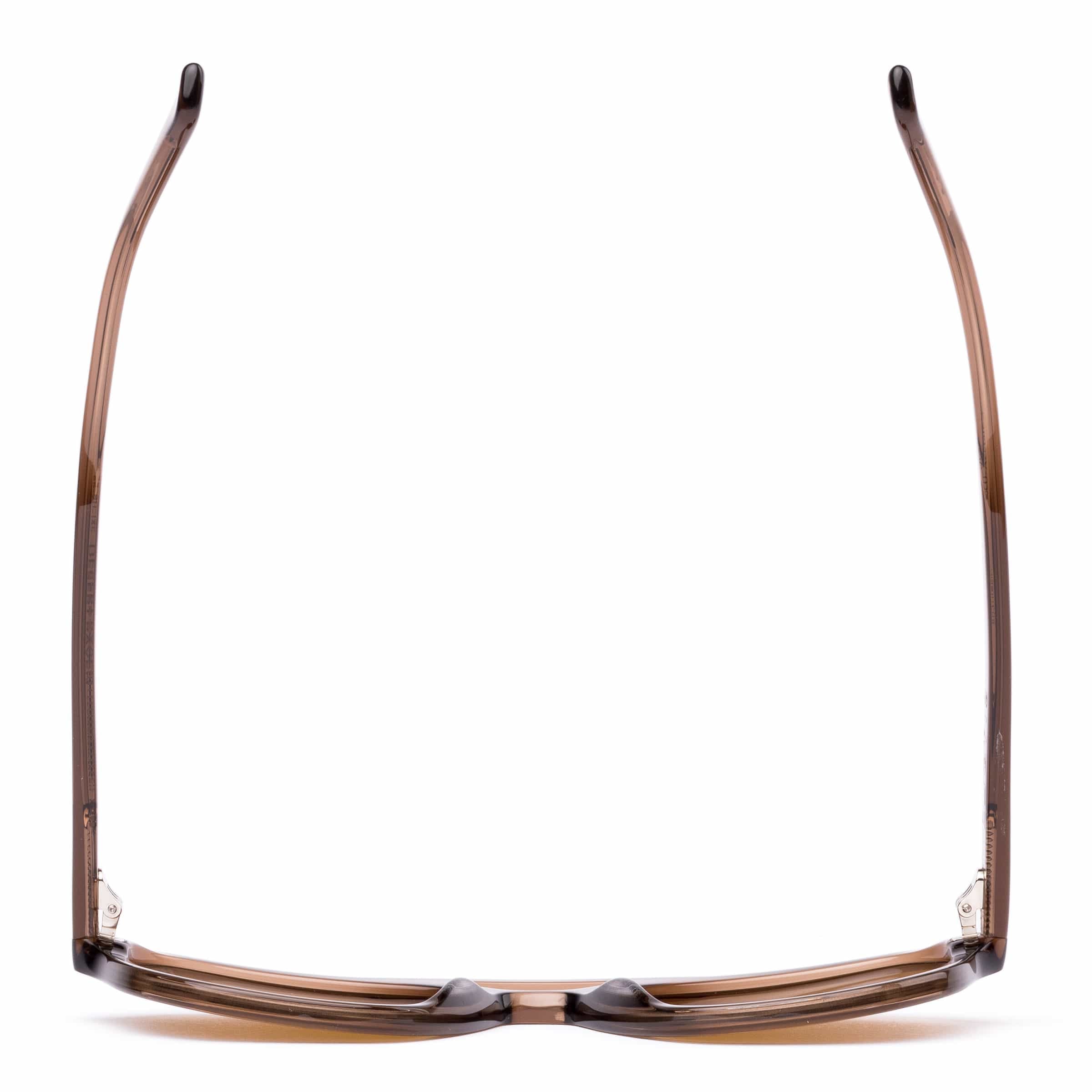 Desert Raven 218-2603  eco crystal birch/brown lens