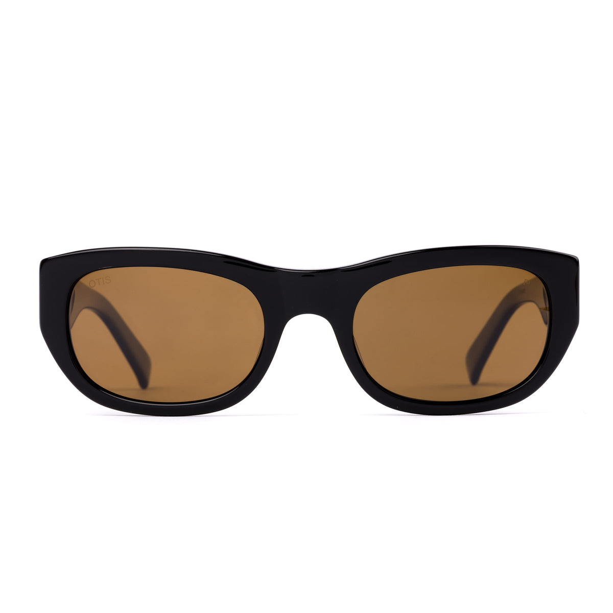 Echoes 220-2601P eco black/brown polarised lens