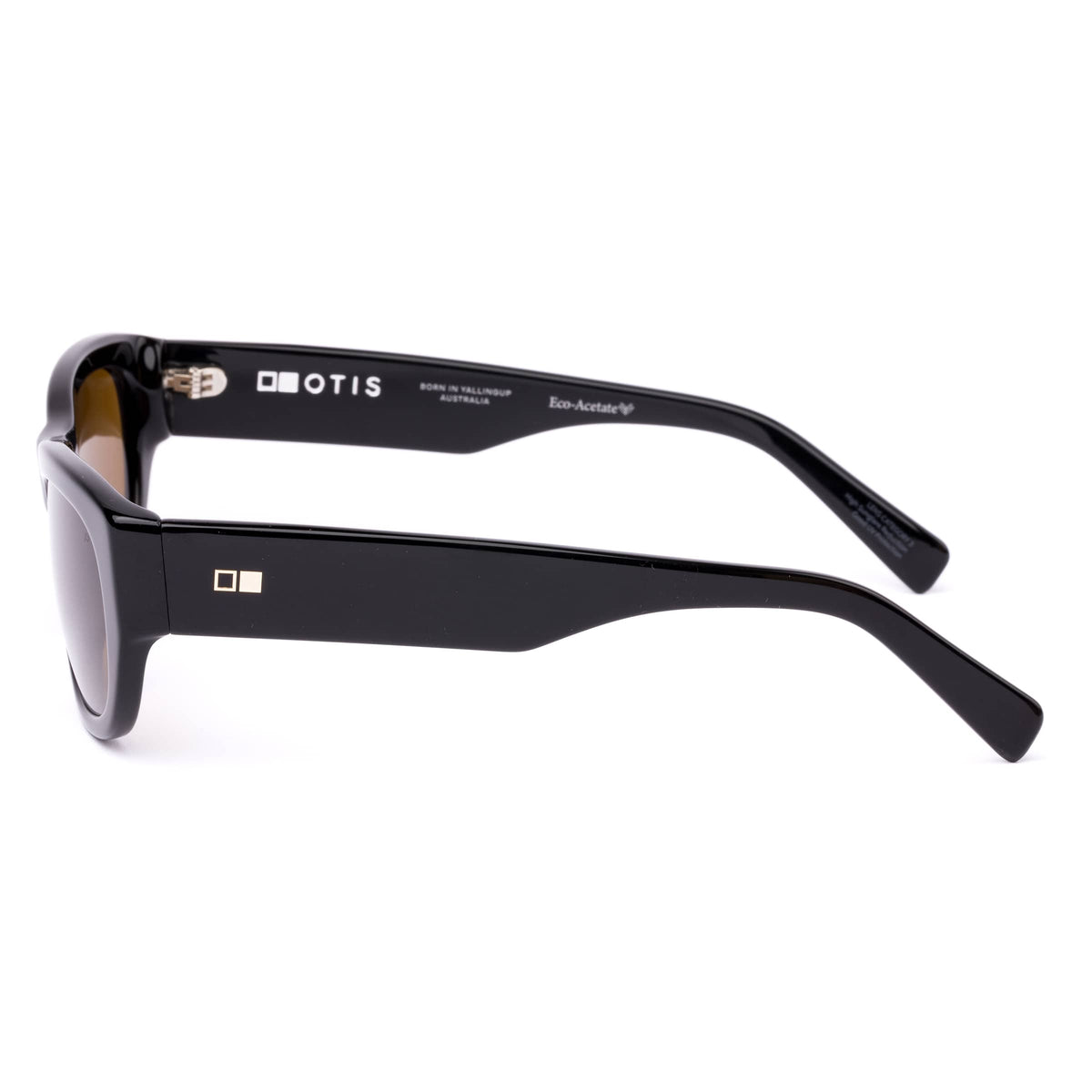 Echoes 220-2601P eco black/brown polarised lens