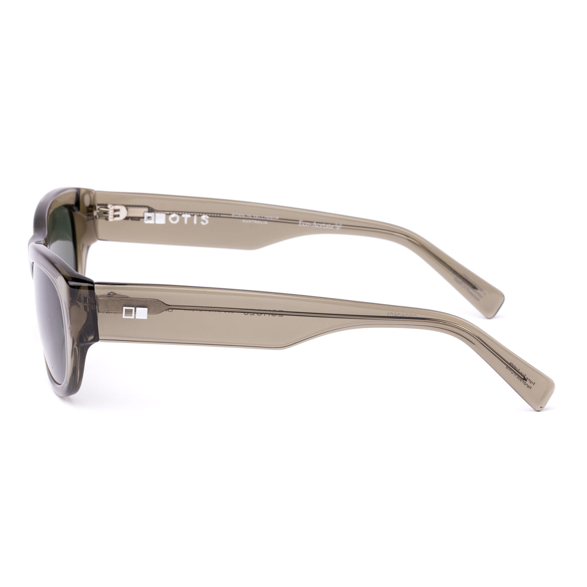 Echoes 220-2602 eco crystal fern/grey lens
