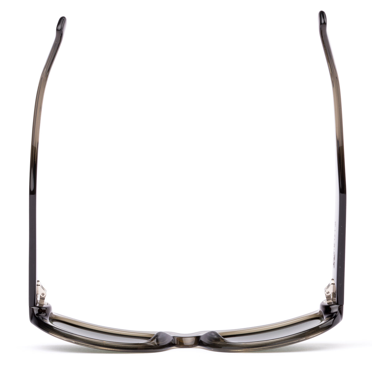 Echoes 220-2602 eco crystal fern/grey lens