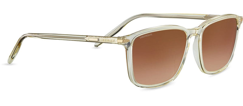 LENWOOD SS485001 CHAMPAGNE/POL DRIVERS GRADIENT LENS