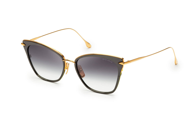 ARISE 3041-A-T DUAL GOLD TITANIUM/BROWN LENS