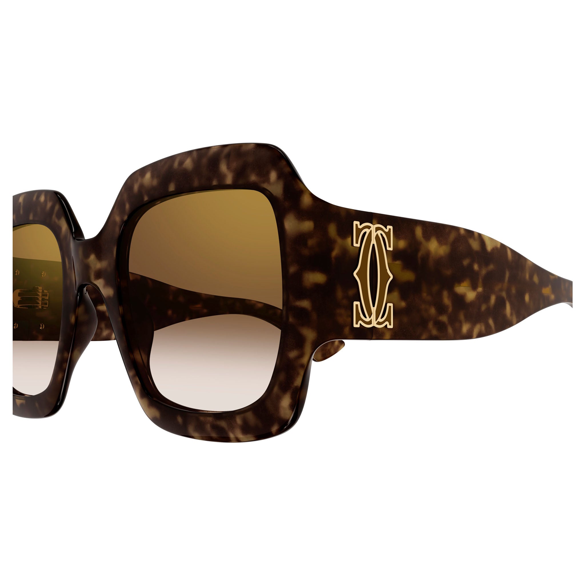 CT0434S 002 havana/brown lens