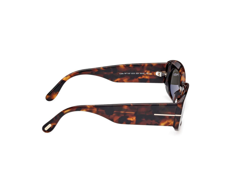 TF1187 52N  Cielle dark havana/green lens