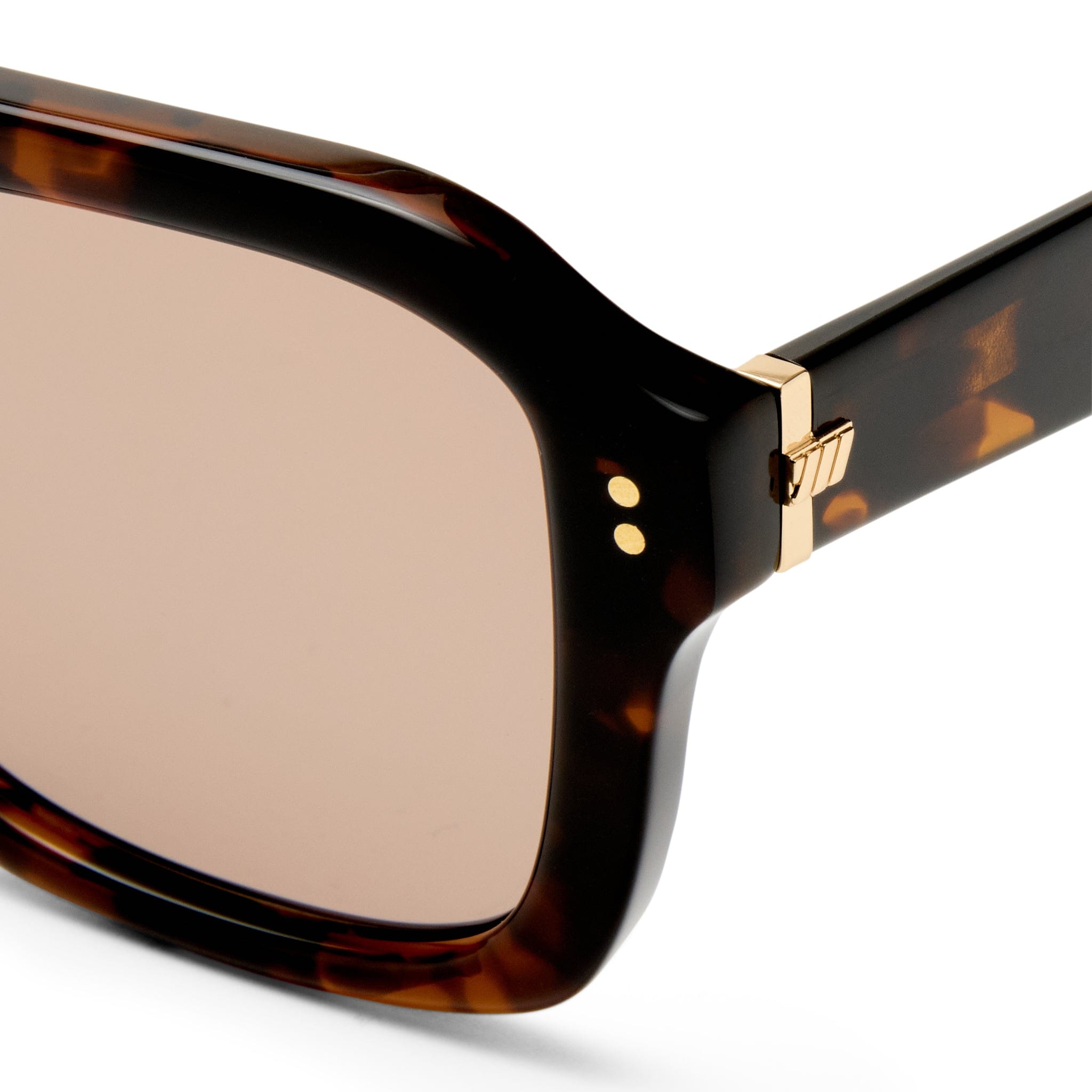 Subtext 2643418 chestnut tortoise/cinnamon tint lens