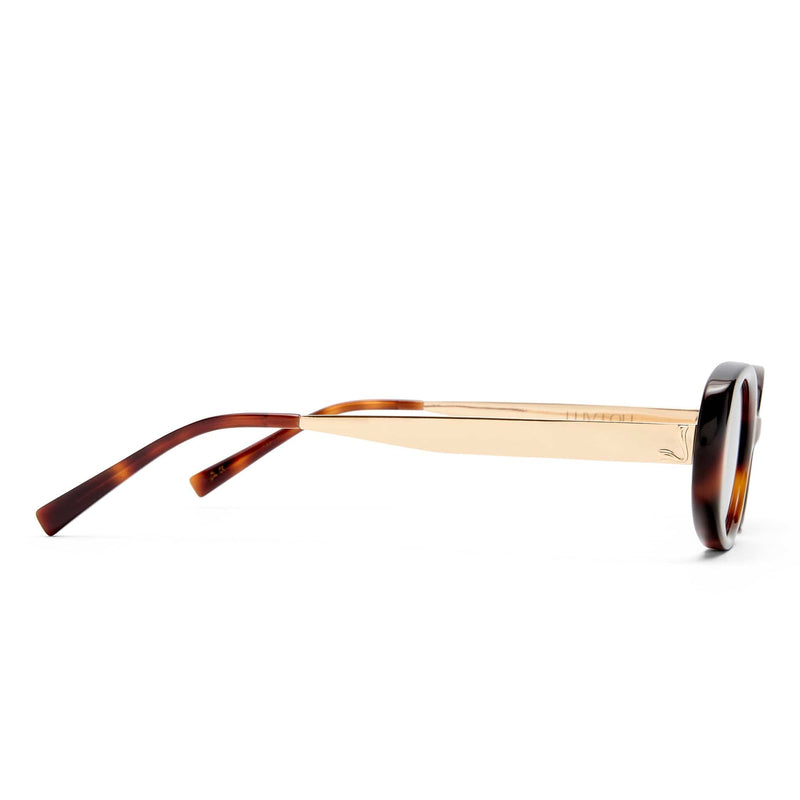 The Honey 2531790 tort/brown mono lens