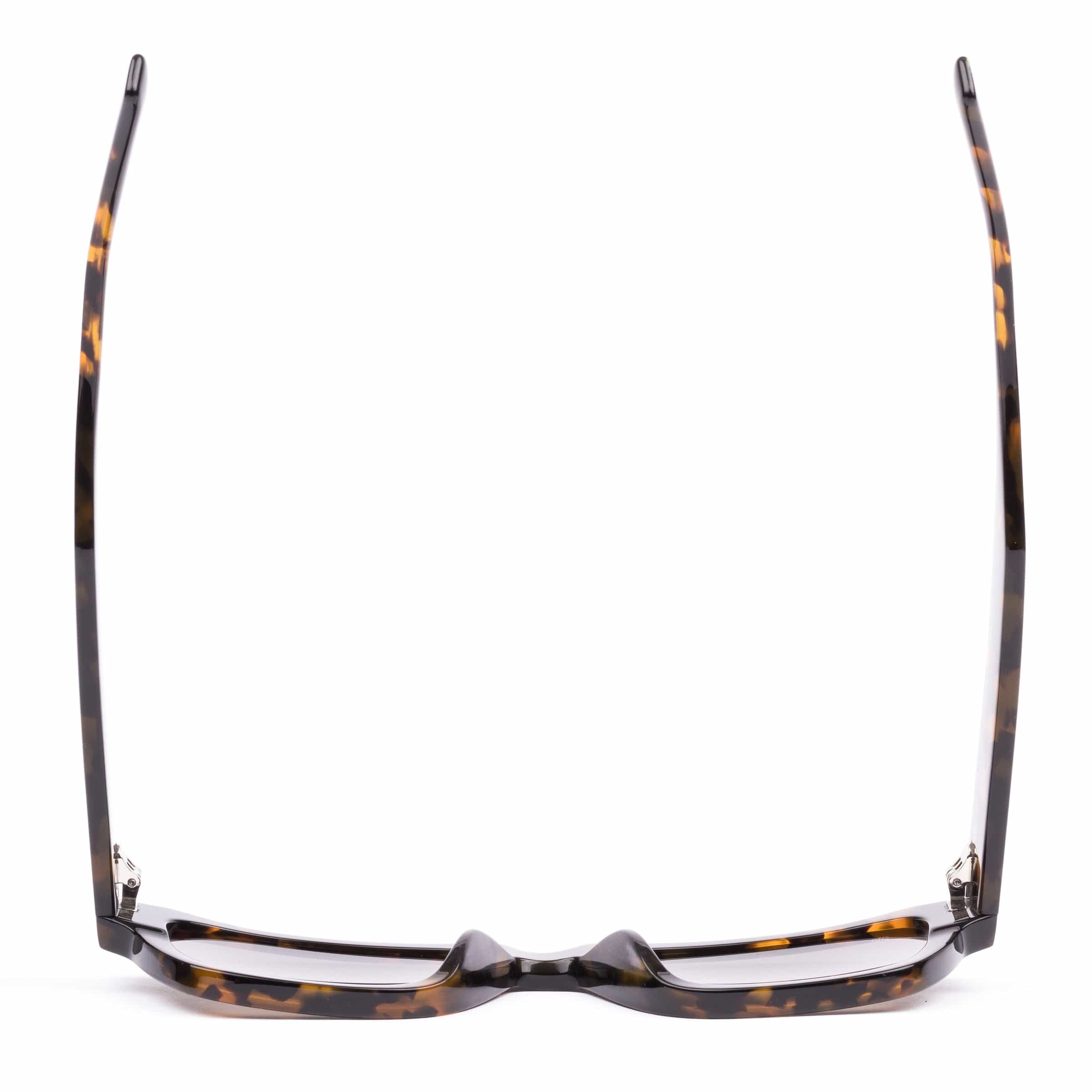 Boston ecru tortoise/grey lens