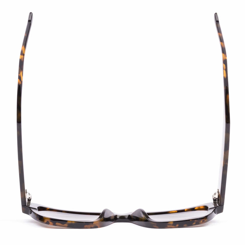 Boston ecru tortoise/grey lens