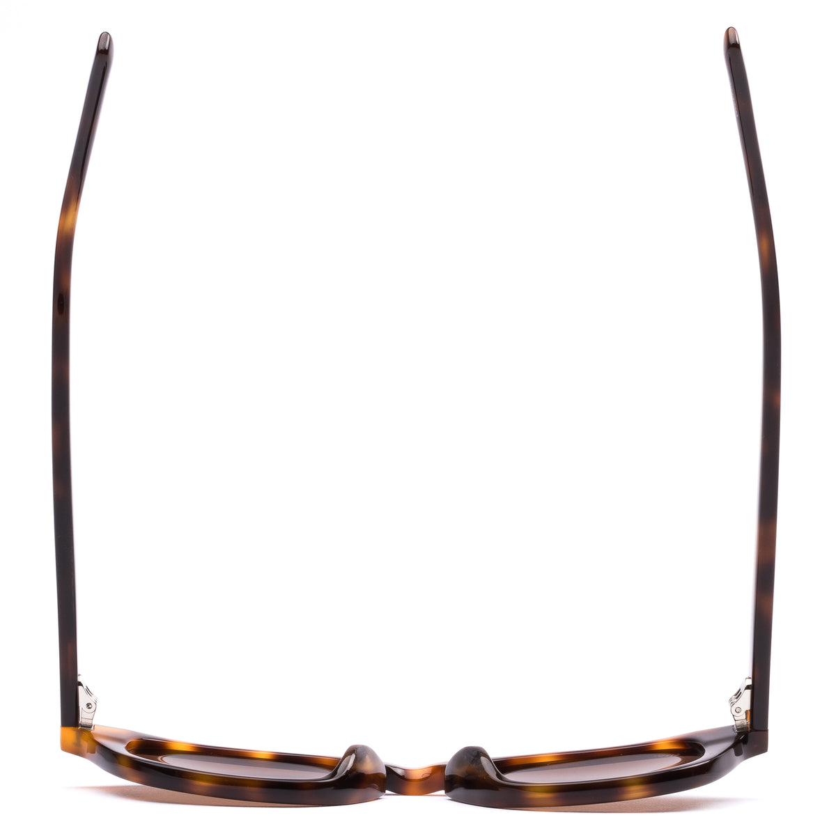 Elio classic tortoise/coffee lens
