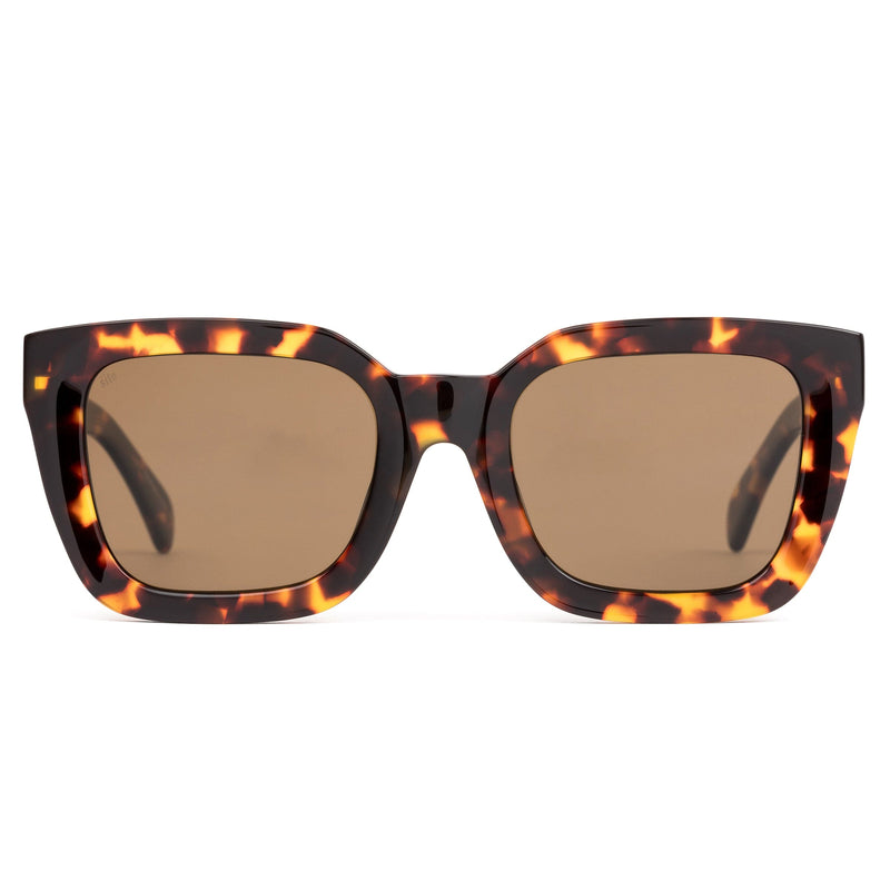 HARLOW MAPLE TORT/BROWN POLARISED LENS