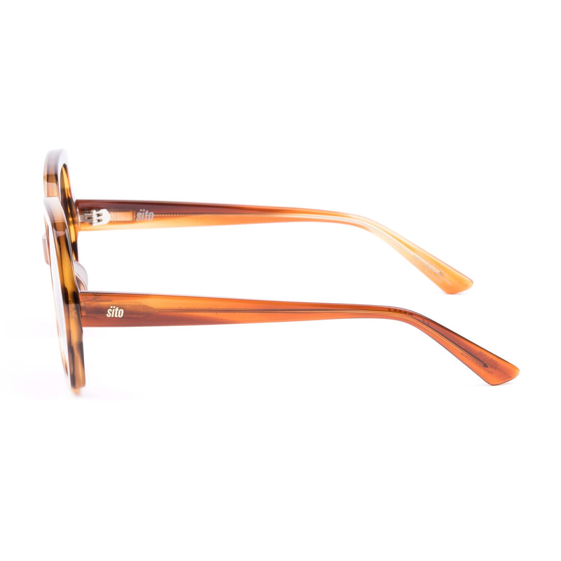 Lucca tangelo/coffee lens