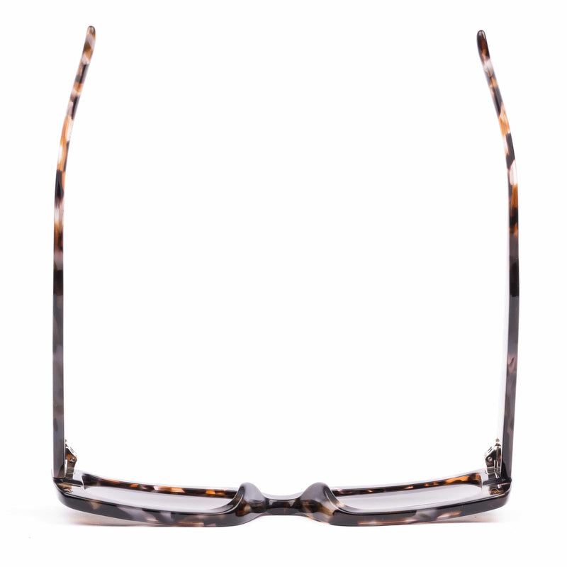 Odessa pebble tortoise grey lens
