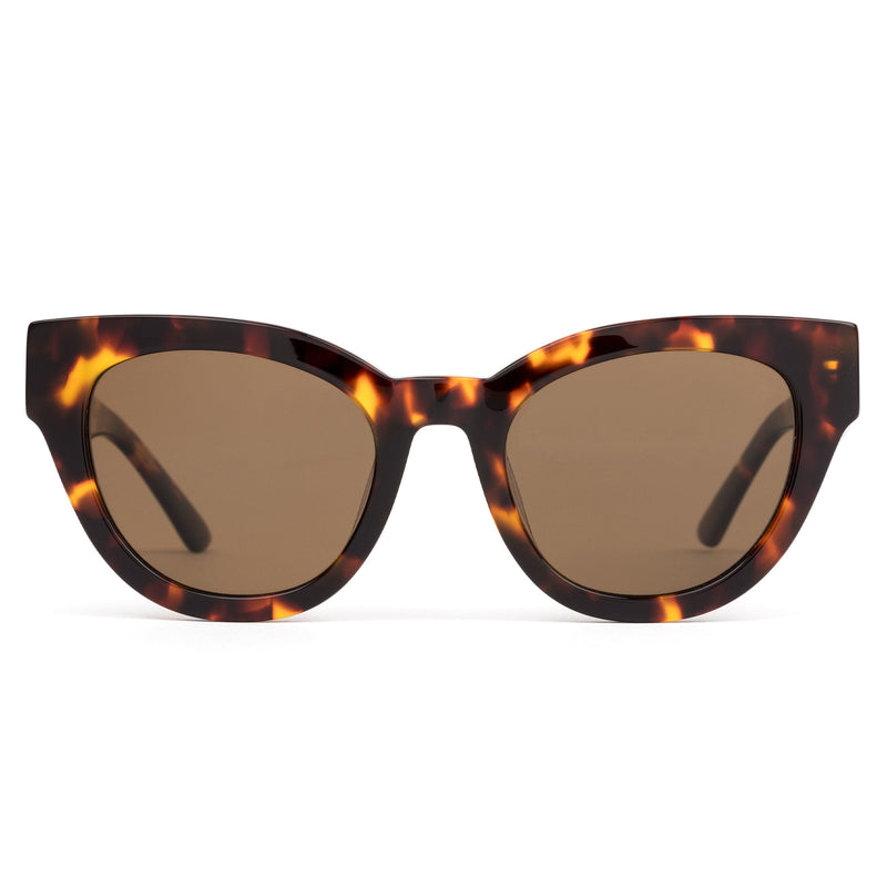 SOUL FUSION MAPLE TORT/BROWN POLARISED LENS