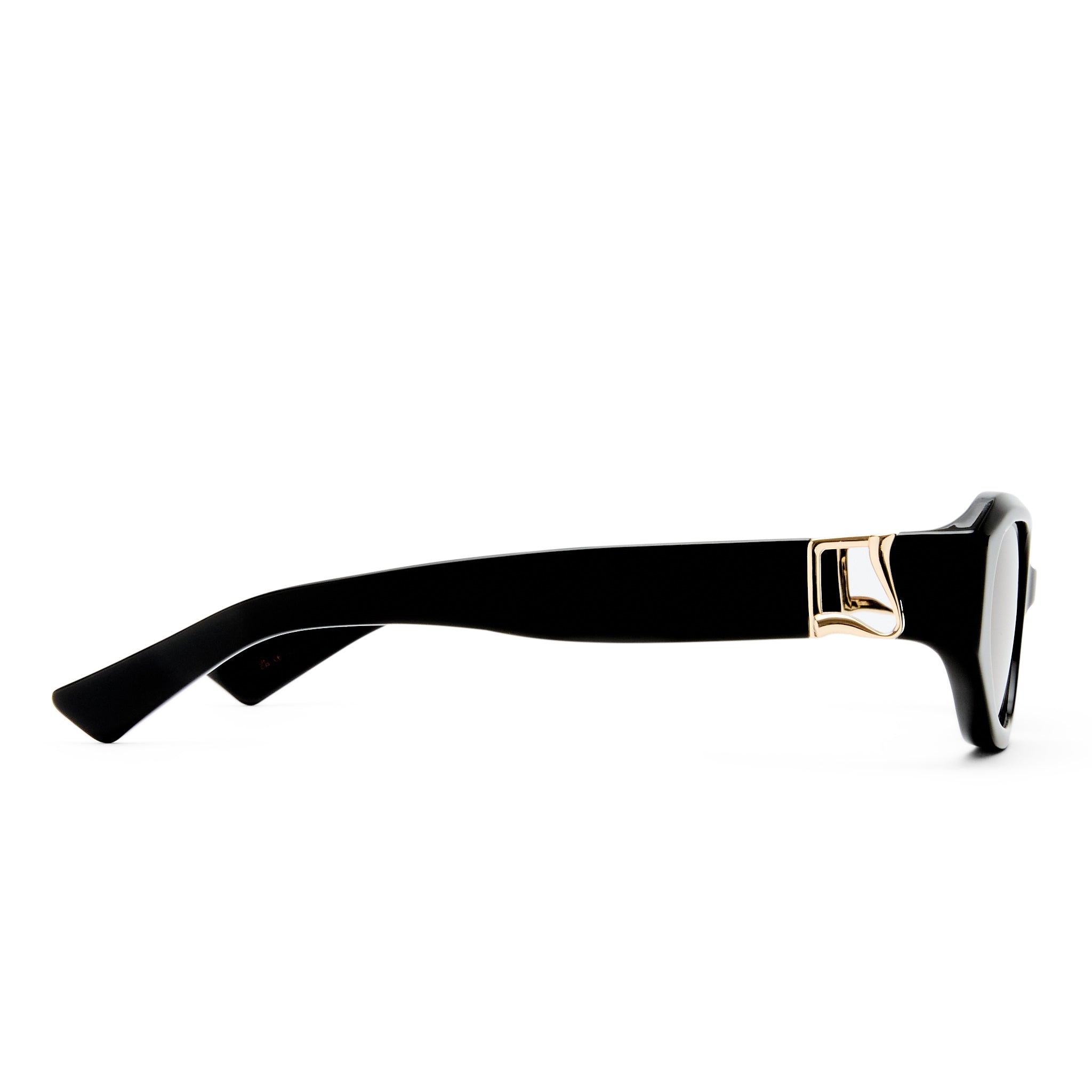 The Freddie  2531815 black/brown lens