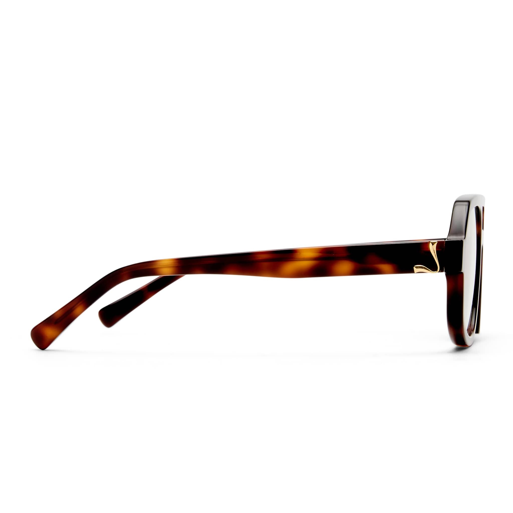 The Banks 2643965 classic tortoise/clear blue light lens