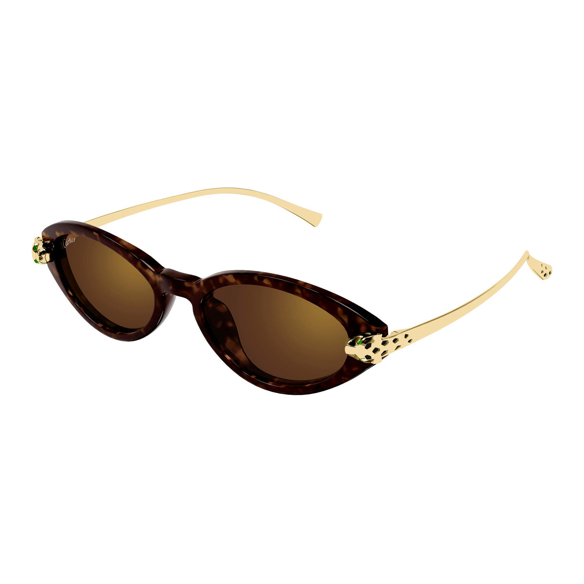 CT0634S 002 Panthere  18k havana/brown lens