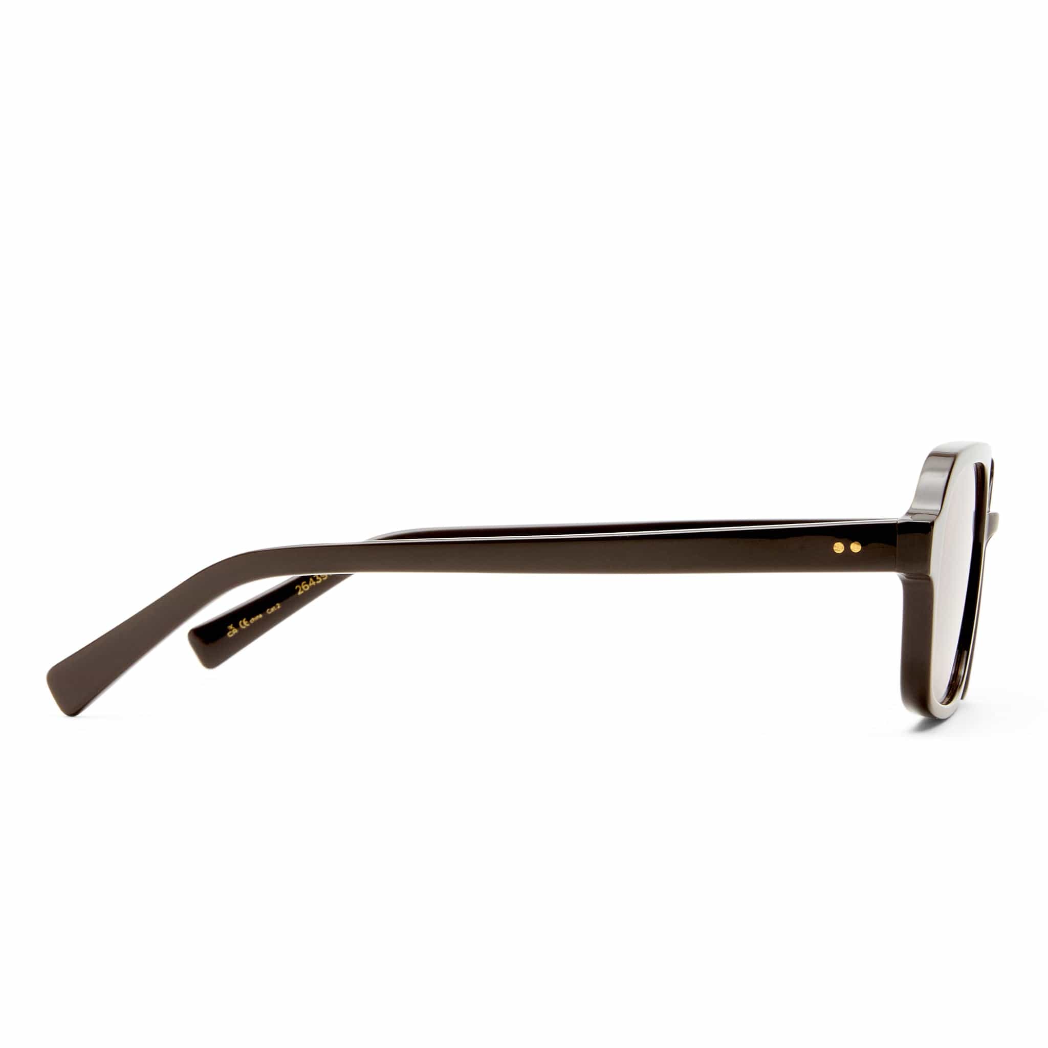 The Dusty 2643918 dark chocolate/brown tint lens