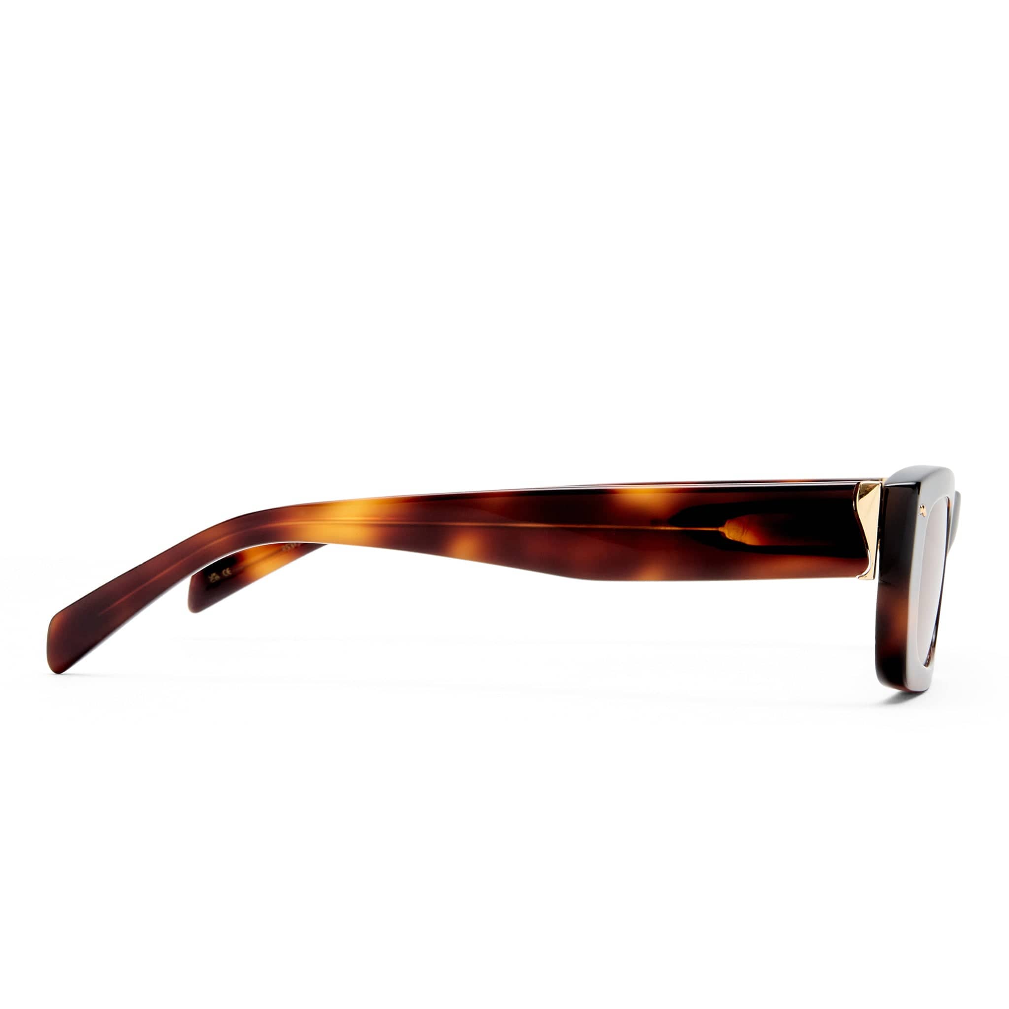 The Tommy 2531784 tortoise/brown tint lens
