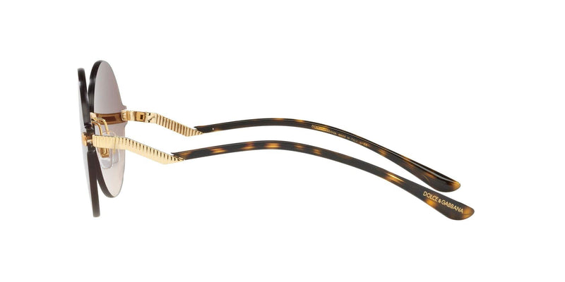 DG2269 02/13 GOLD/BROWN LENS