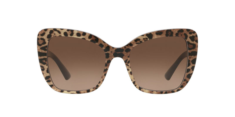 DG4348 316313 LEOPARD/BROWN LENS