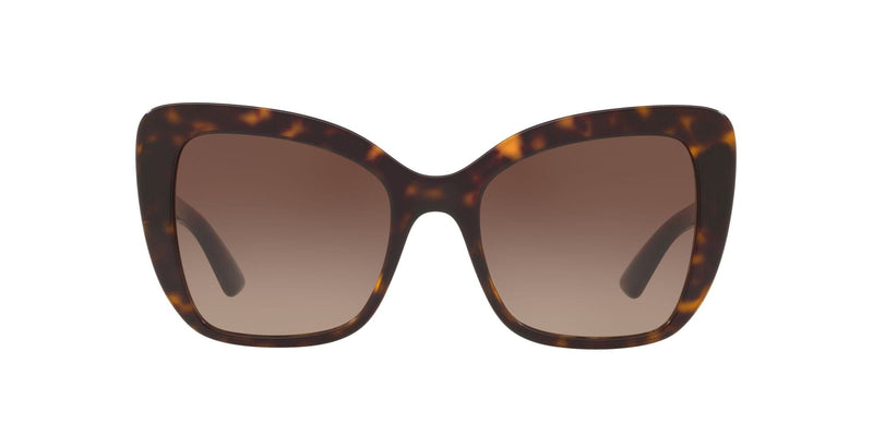 DG4348 502/13 HAVANA/BROWN GRADIENT LENS