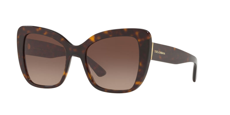 DG4348 502/13 HAVANA/BROWN GRADIENT LENS