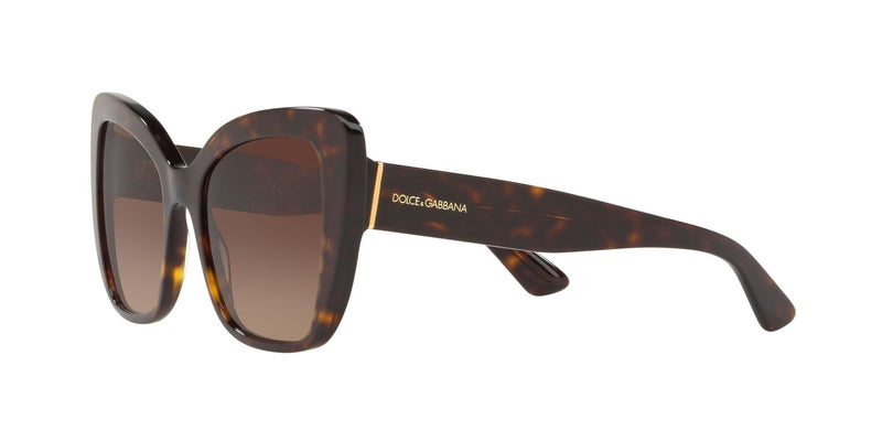 DG4348 502/13 HAVANA/BROWN GRADIENT LENS