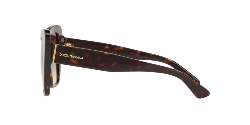 DG4348 502/13 HAVANA/BROWN GRADIENT LENS