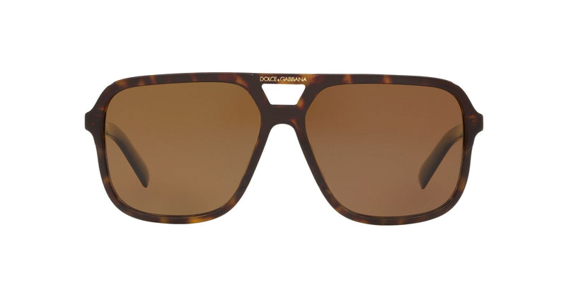 DG4354 502/83 HAVANA/POLARISED BROWN LENS