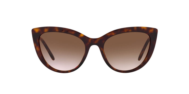 DG4408 502/13 HAVANA/GRADIENT BROWN LENS