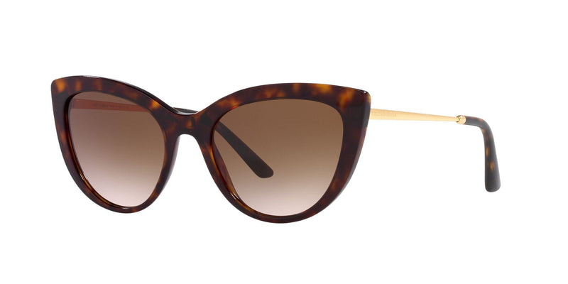 DG4408 502/13 HAVANA/GRADIENT BROWN LENS