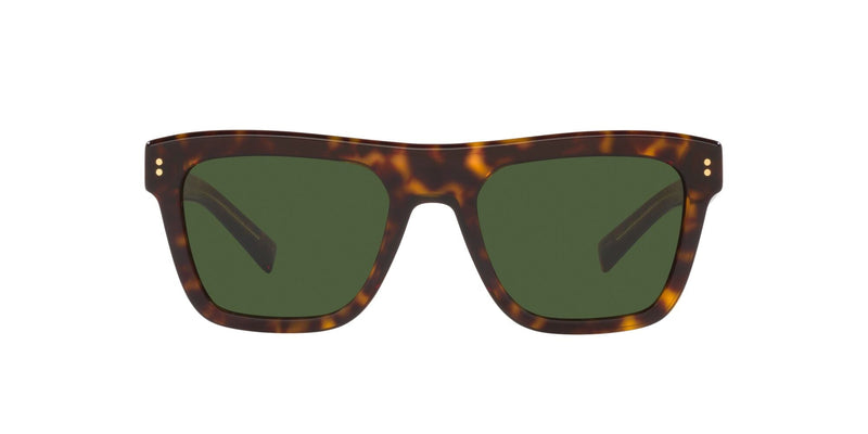 DG4420 502/71 HAVANA/DARK GREEN LENS