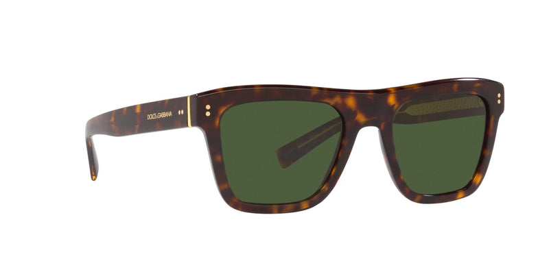 DG4420 502/71 HAVANA/DARK GREEN LENS
