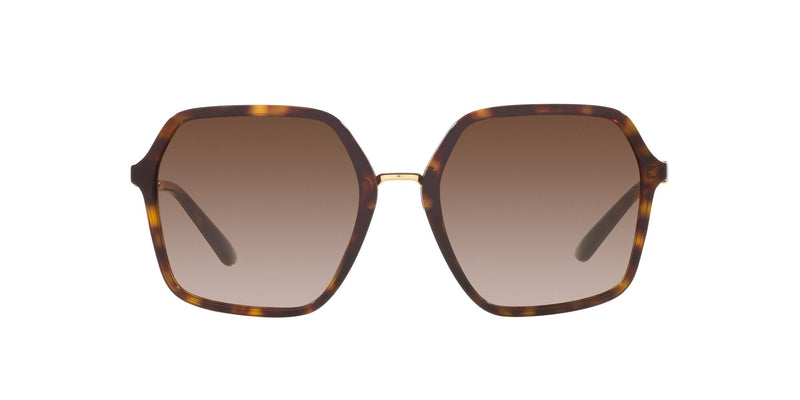 DG4422 502/13 HAVANA/GRADIENT BROWN LENS