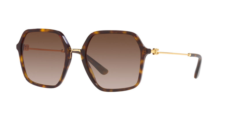 DG4422 502/13 HAVANA/GRADIENT BROWN LENS